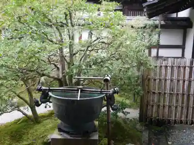 御寺 泉涌寺の手水舎