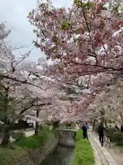 紫雲山 大泉寺の自然