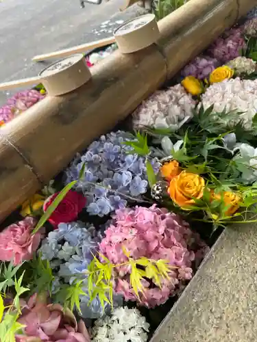 群馬県護国神社(群馬県)