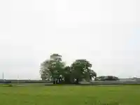 神明神社(千葉県)