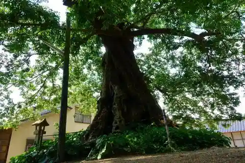 神魂伊能知奴志神社のその他建物