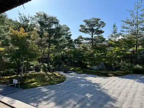 高台寺（高台寿聖禅寺・高臺寺）(京都府)