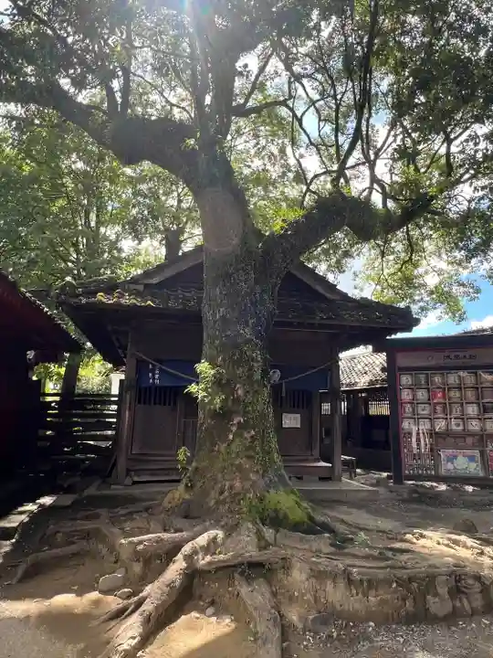 青井阿蘇神社(熊本県)