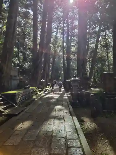 高野山金剛峯寺奥の院(和歌山県)