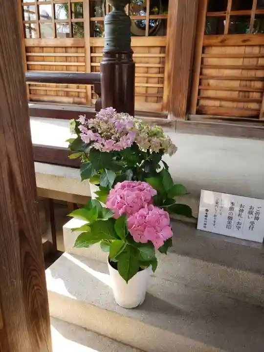 本郷氷川神社(東京都)