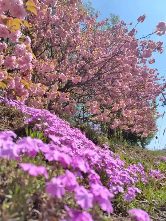 厚別神社(北海道)