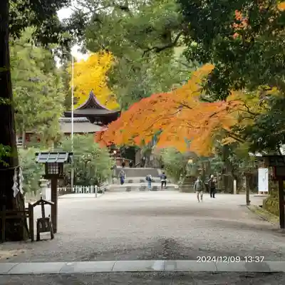 石上神宮(奈良県)
