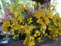 彌彦神社 (伊夜日子神社)の手水舎