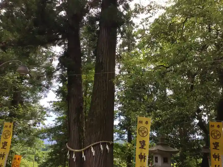 聖神社のその他建物