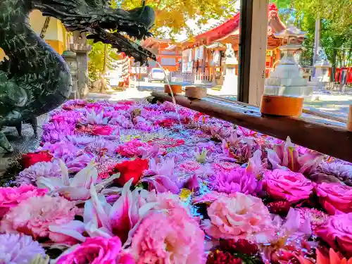 清洲山王宮　日吉神社の手水舎