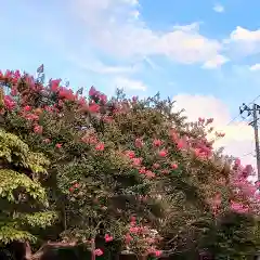 長命寺(福島県)