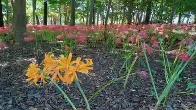 祖光院(千葉県)