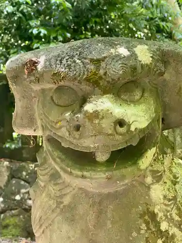 養父神社の狛犬