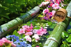 二尊院の手水舎(2021年06月01日(火) 14時32分48秒投稿)