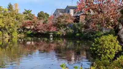 神泉苑(京都府)