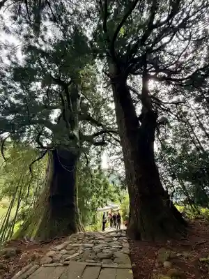 熊野那智大社(和歌山県)