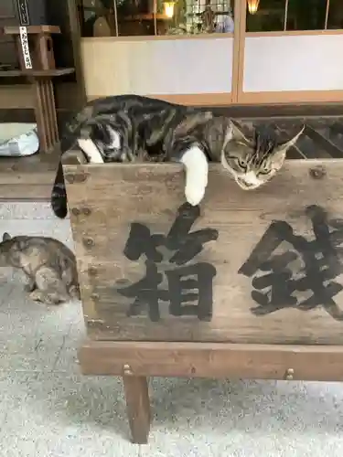 玉野御嶽神社の動物