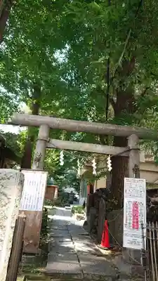 阿佐ヶ谷神明宮の鳥居