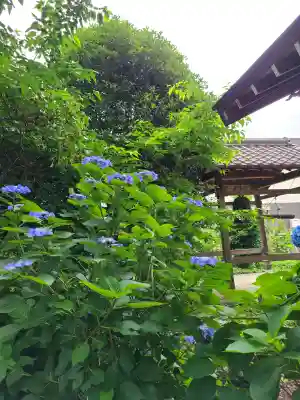 白岡八幡神社(埼玉県)