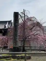 醍醐寺(京都府)