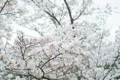 神谷稲荷明神社の自然