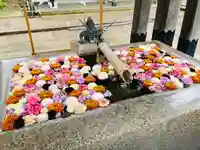 金峯神社の手水舎