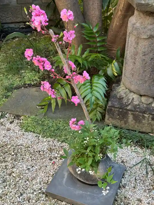 陽運寺の{uncategorized: "未分類", other: "その他", undefined: "問題あり", building: "その他建物", grave: "お墓", sacred_gate: "鳥居", guardian: "狛犬", statue: "像", buddha: "仏像", history: "歴史", nature: "自然", garden: "庭園", animal: "動物", pagoda: "塔", temizu: "手水舎", mountain_gate: "山門・神門", sanctuary: "本殿・本堂", subordinate: "末社・摂社", art: "芸術", scenery: "景色", jizo: "地蔵", ema: "絵馬", goshuin: "御朱印", omikuji: "おみくじ", items: "授与品その他", amulet: "お守り", goshuincho: "御朱印帳", eats: "食事", festival: "お祭り", votive_dance: "神楽", shichigosan: "七五三参", wedding: "結婚式", experience: "体験その他", initially: "初詣", around: "周辺", anti_infection: "感染症対策"}