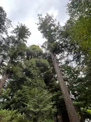 甲斐國一宮 浅間神社(山梨県)