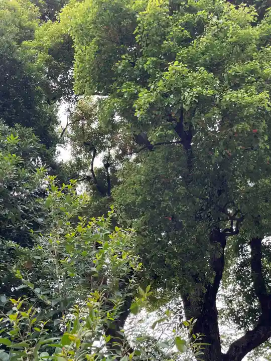 女塚神社(東京都)