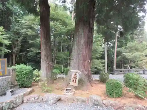 明石寺(愛媛県)