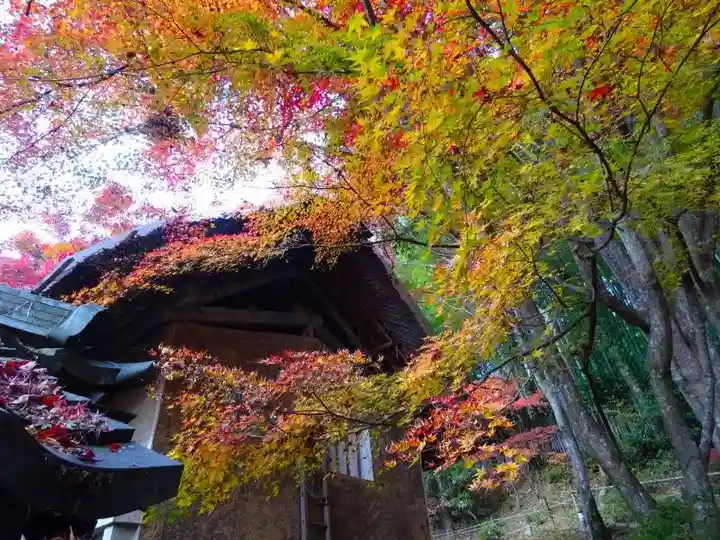 教林坊(滋賀県)