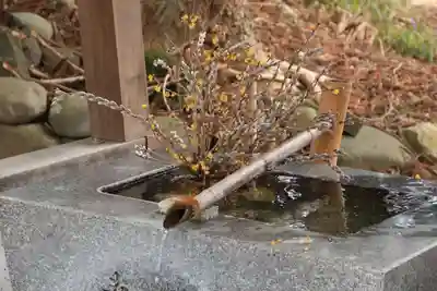 高司神社〜むすびの神の鎮まる社〜の手水舎