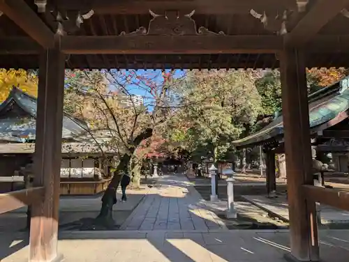 川口神社(埼玉県)