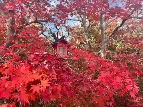 鍬山神社(京都府)