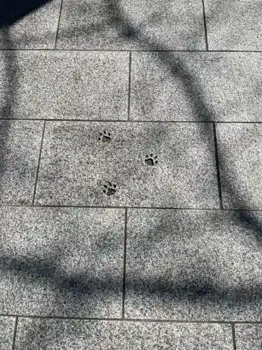 お松大権現の{uncategorized: "未分類", other: "その他", undefined: "問題あり", building: "その他建物", grave: "お墓", sacred_gate: "鳥居", guardian: "狛犬", statue: "像", buddha: "仏像", history: "歴史", nature: "自然", garden: "庭園", animal: "動物", pagoda: "塔", temizu: "手水舎", mountain_gate: "山門・神門", sanctuary: "本殿・本堂", subordinate: "末社・摂社", art: "芸術", scenery: "景色", jizo: "地蔵", ema: "絵馬", goshuin: "御朱印", omikuji: "おみくじ", items: "授与品その他", amulet: "お守り", goshuincho: "御朱印帳", eats: "食事", festival: "お祭り", votive_dance: "神楽", shichigosan: "七五三参", wedding: "結婚式", experience: "体験その他", initially: "初詣", around: "周辺", anti_infection: "感染症対策"}