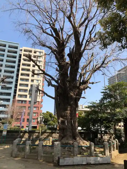 磐井神社の自然