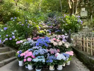 長谷寺(奈良県)