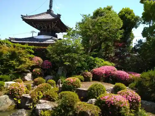 穴太寺の庭園