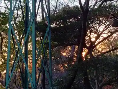 保久良神社(兵庫県)