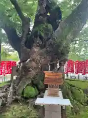 秩父今宮神社(埼玉県)