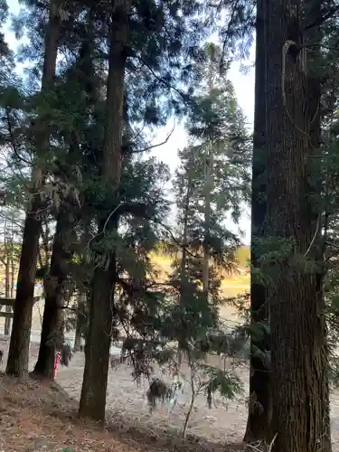 大宮温泉神社(栃木県)