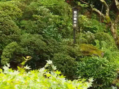 岩松院(長野県)