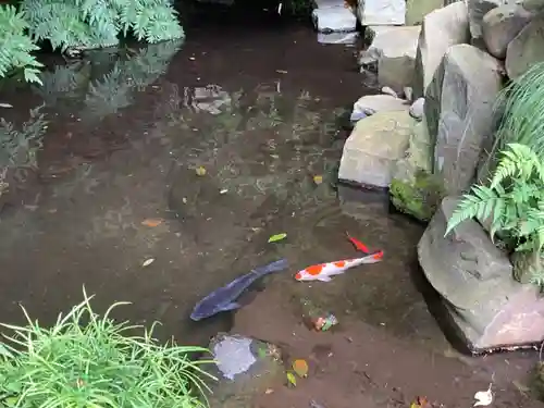 武州柿生琴平神社の庭園