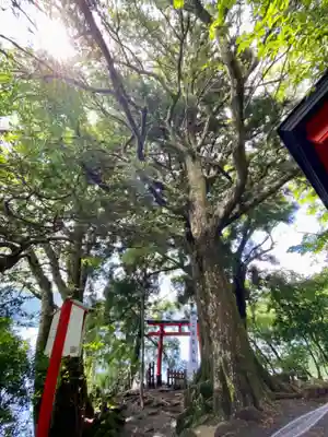 九頭龍神社本宮(神奈川県)