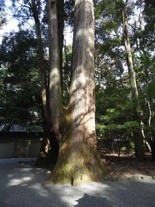 伊勢神宮外宮(豊受大神宮)(三重県)