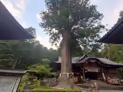 北口本宮冨士浅間神社(山梨県)