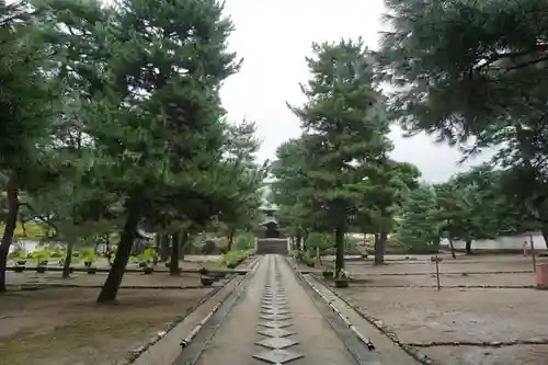 萬福寺(京都府)