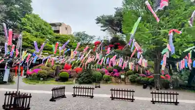 武州白子熊野神社(埼玉県)