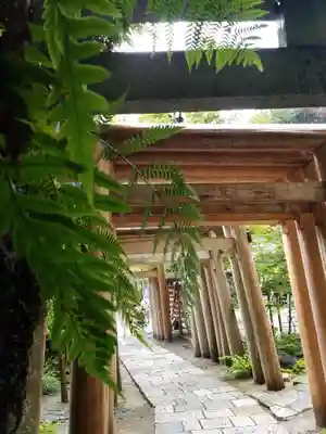 銭洗弁財天宇賀福神社の鳥居