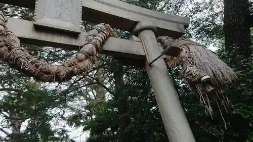 奥澤神社の鳥居